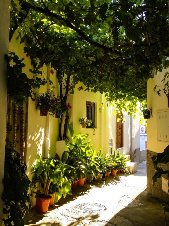 Casa Corasol, A Cozy, Comfy, 2Br House- Panoramic View And Rooftop Canar Exterior foto
